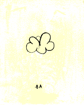 The Sofa Animation.