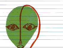 head.