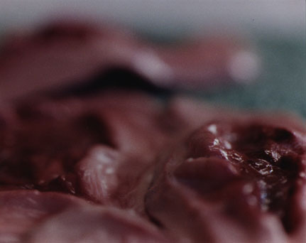 Jennifer Fiore, Photographs