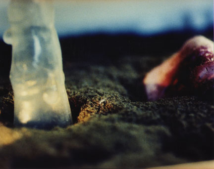 Jennifer Fiore, Photographs