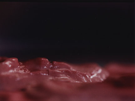 Jennifer Fiore, Photographs