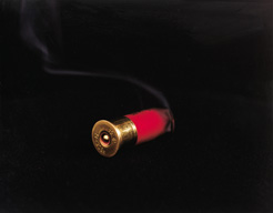 Bullet02