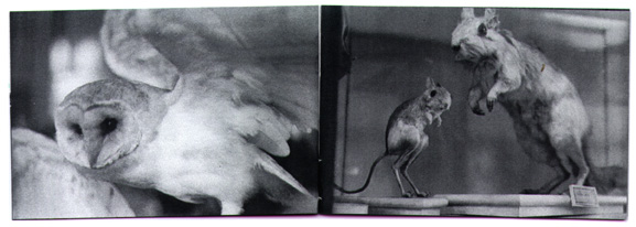 Museum Pages 4 and 5