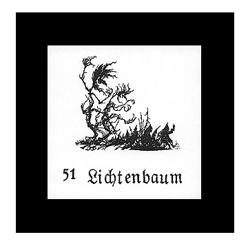 Lichtenbaum.