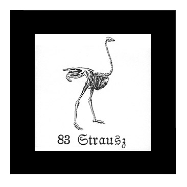 Strausz.