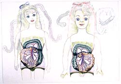 Drawings.